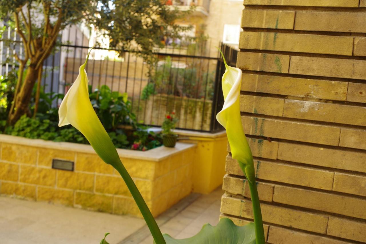 Il Gelsomino Apartamento